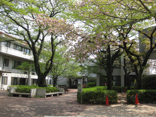 Christian Academy in Japan