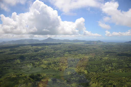 Gym «Planet Fitness», reviews and photos, 53 Marrows Rd, Newark, DE 19713, USA