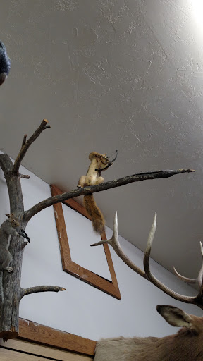 Sporting Goods Store «Keystone Outdoors», reviews and photos, 186 Path Valley Rd, Fort Loudon, PA 17224, USA