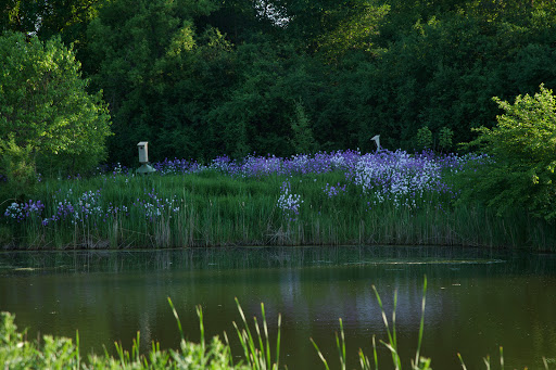 Golf Club «Pine Meadow Golf Club», reviews and photos, 1 Pine Meadow Ln, Mundelein, IL 60060, USA