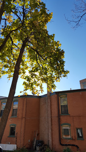 Art Gallery «Side Street Studio Arts», reviews and photos, 15 Zeigler Ct, Elgin, IL 60120, USA