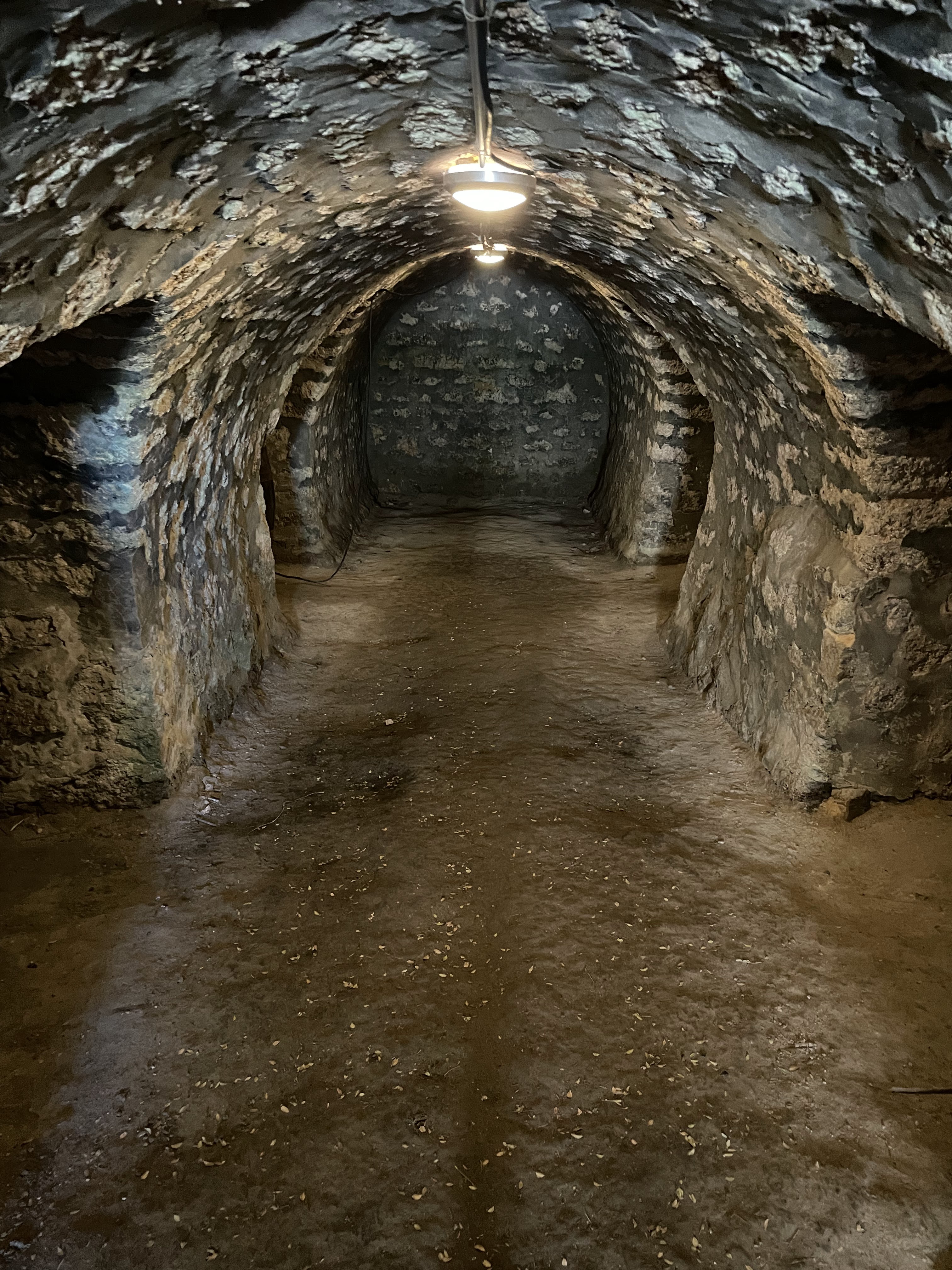 Photo n° 6 de l'avis de PZT.N fait le 26/08/2023 à 17:32