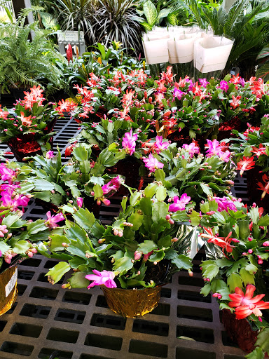 Department Store «Walmart Supercenter», reviews and photos, 8500 N Wickham Rd, Melbourne, FL 32940, USA