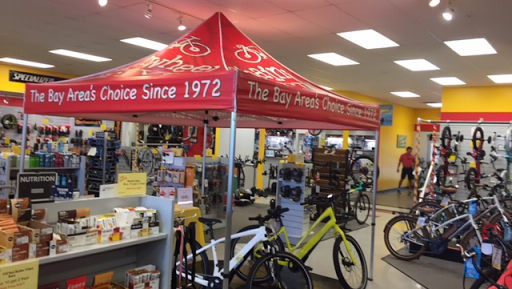Bicycle Store «Chainwheel Drive», reviews and photos, 1770 Drew St, Clearwater, FL 33755, USA