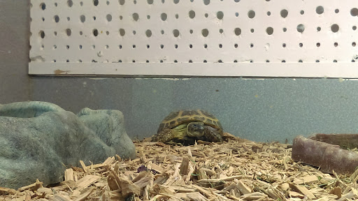 Pet Store «Animal Ark Pet Stores», reviews and photos, 33 Center St, Orem, UT 84057, USA