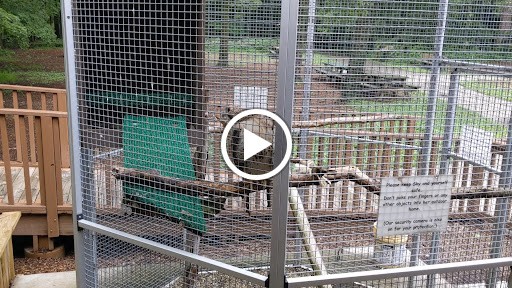 Museum «Pilcher Park Nature Center», reviews and photos, 2501 Highland Park Dr, Joliet, IL 60432, USA