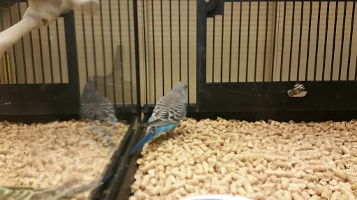 Pet Supply Store «PetSmart», reviews and photos, 24 Countryside Plaza, Countryside, IL 60525, USA