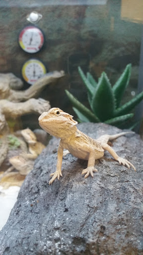 Pet Supply Store «Petco Animal Supplies», reviews and photos, 12014 SW 88th St, Miami, FL 33186, USA