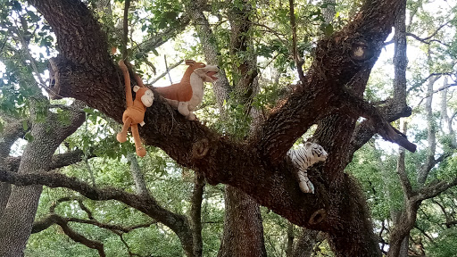 Park «John Williams Park», reviews and photos, 6101 Sheridan St, Hollywood, FL 33021, USA