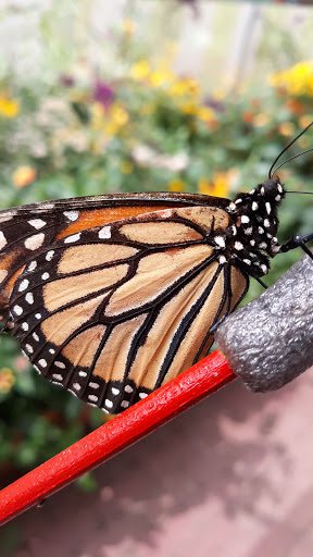 Botanical Garden «Beech Creek Botanical Garden & Nature Preserve», reviews and photos, 11929 Beech St NE, Alliance, OH 44601, USA