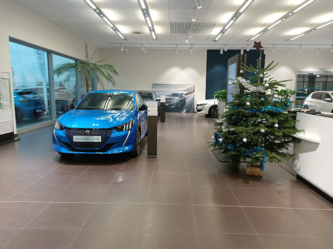 PEUGEOT STELLANTIS &YOU LYON ECULLY - Lyon
