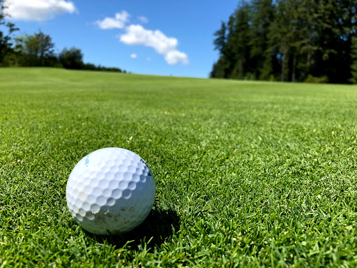 Golf Club «Salish Cliffs Golf Club», reviews and photos, 91 WA-108, Shelton, WA 98584, USA