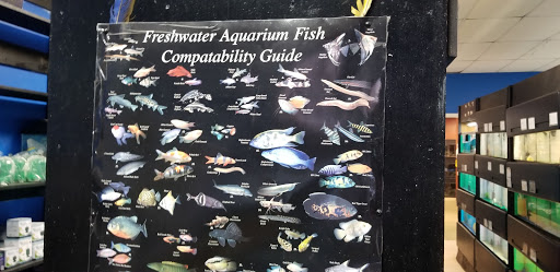 Tropical Fish Store «Caribbean Pets», reviews and photos, 298 Central Ave, Jersey City, NJ 07307, USA
