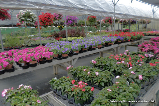 Garden Center «Delahunty Nurseries & Florist», reviews and photos, 41 Range Rd, Windham, NH 03087, USA