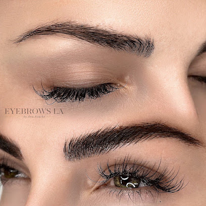 Eyebrows LA by Ana Rouche Permanent make up Studio