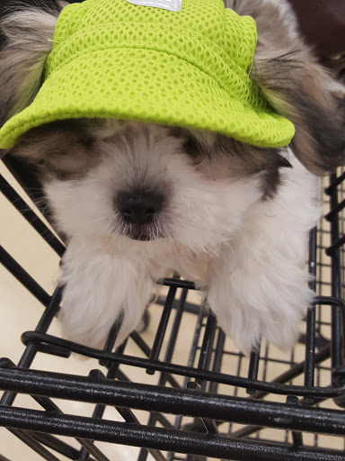 Pet Supply Store «Petco Animal Supplies», reviews and photos, 1 US-46, Totowa, NJ 07512, USA