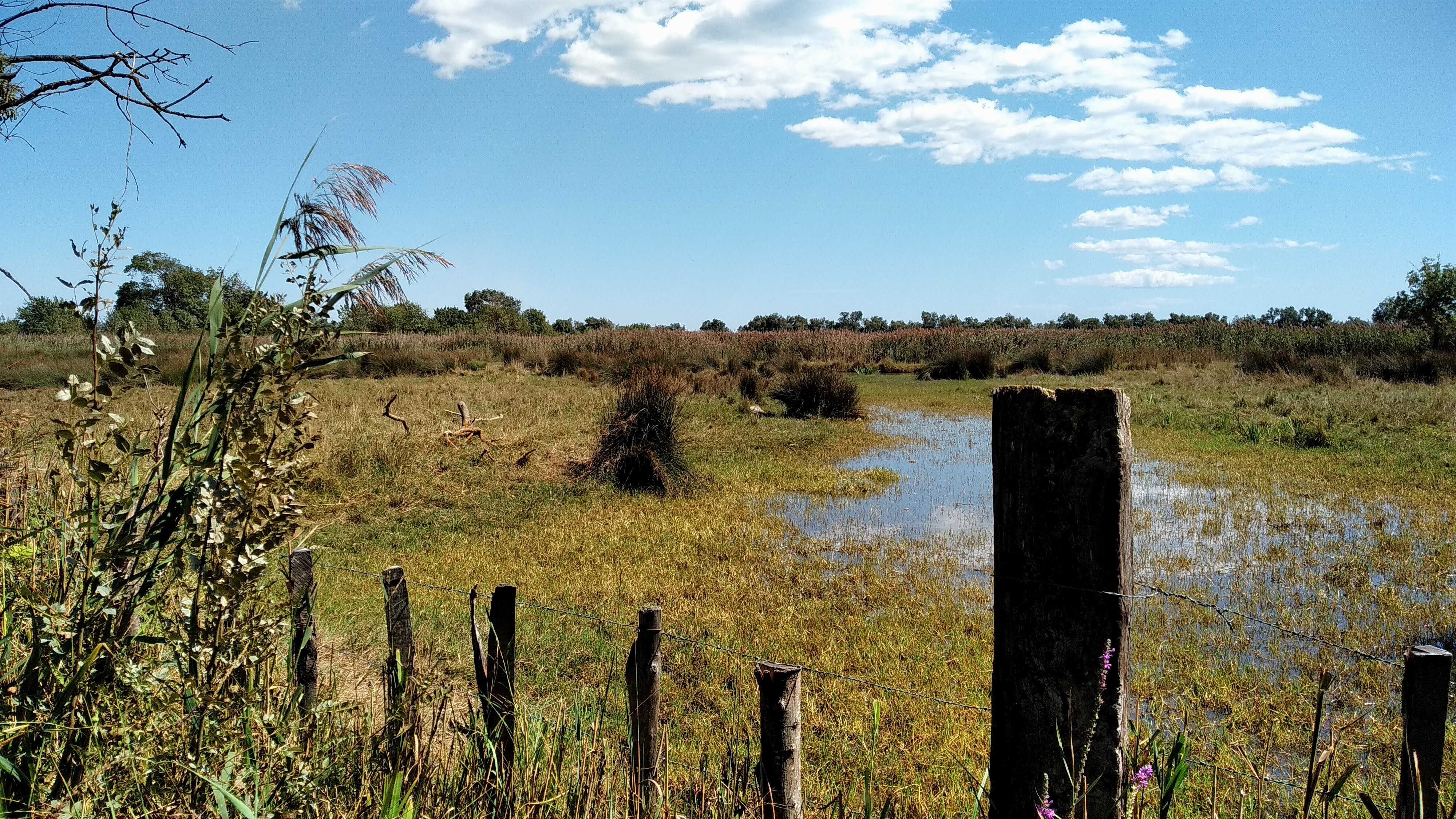 Photo n° 3 de l'avis de S... fait le 05/09/2019 à 15:18