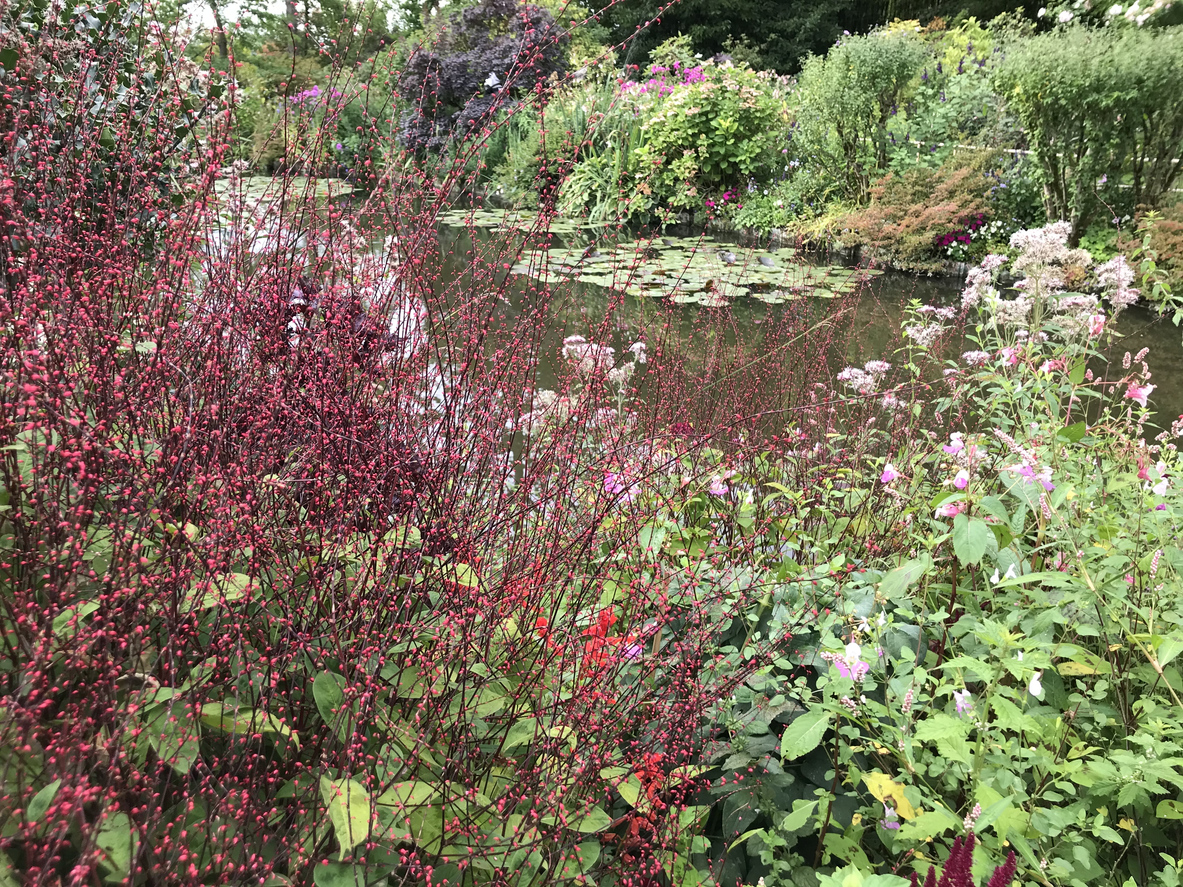 Photo n° 17 de l'avis de Roxane.A fait le 19/08/2021 à 09:20