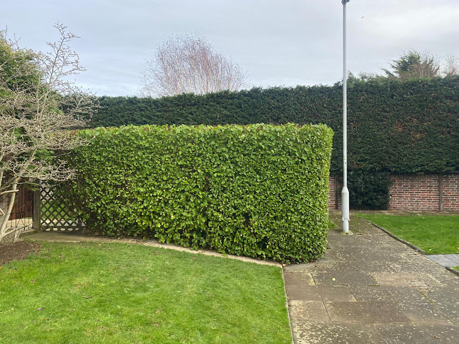 A Cut Above the Rest Gardening Services - Worthing