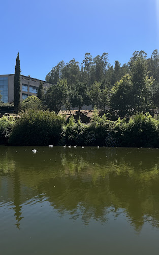 Universidad de Concepción - Concepción