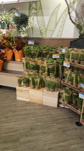 Supermarket «Save Mart Supermarkets», reviews and photos, 1449 E F St, Oakdale, CA 95361, USA