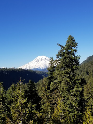 Patriot Farms Gallery