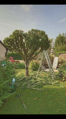 Top jardin - Paysagiste Mésanger à Mésanger