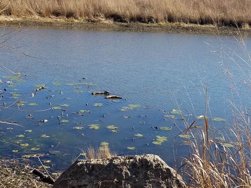 Bird Watching Area «Jelke Creek Bird Sanctuary», reviews and photos, Boncosky Rd, Dundee Township, IL 60118, USA