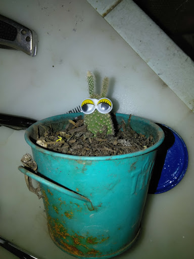 Office Supply Store «Staples», reviews and photos, 945 E Hospitality Ln, San Bernardino, CA 92408, USA