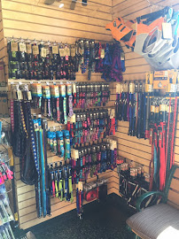 Healthy Tails - Photo 7 - Car repair in Reno, NV, Reno