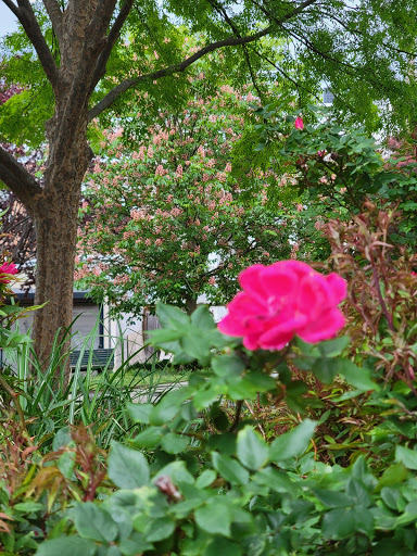 Park «Crispus Attucks Park», reviews and photos, 23 U St NW, Washington, DC 20001, USA