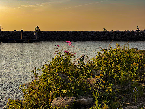 Park «Shades Beach Park», reviews and photos, 7000 E Lake Rd, Erie, PA 16511, USA