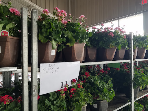 Warehouse store «Costco Wholesale», reviews and photos, 5885 Barnes Rd, Colorado Springs, CO 80922, USA