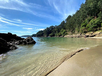 Descuido en playas: &iquest;Qu&eacute; est&aacute; pasando con nuestro para&iacute;so costero?