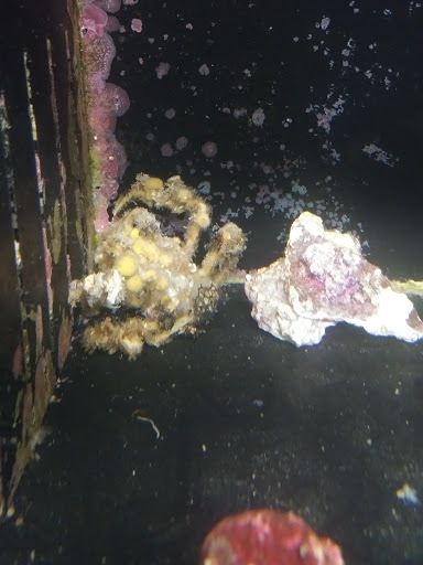 Pet Supply Store «Drs. Foster and Smith», reviews and photos, 2423 Air Park Rd, Rhinelander, WI 54501, USA