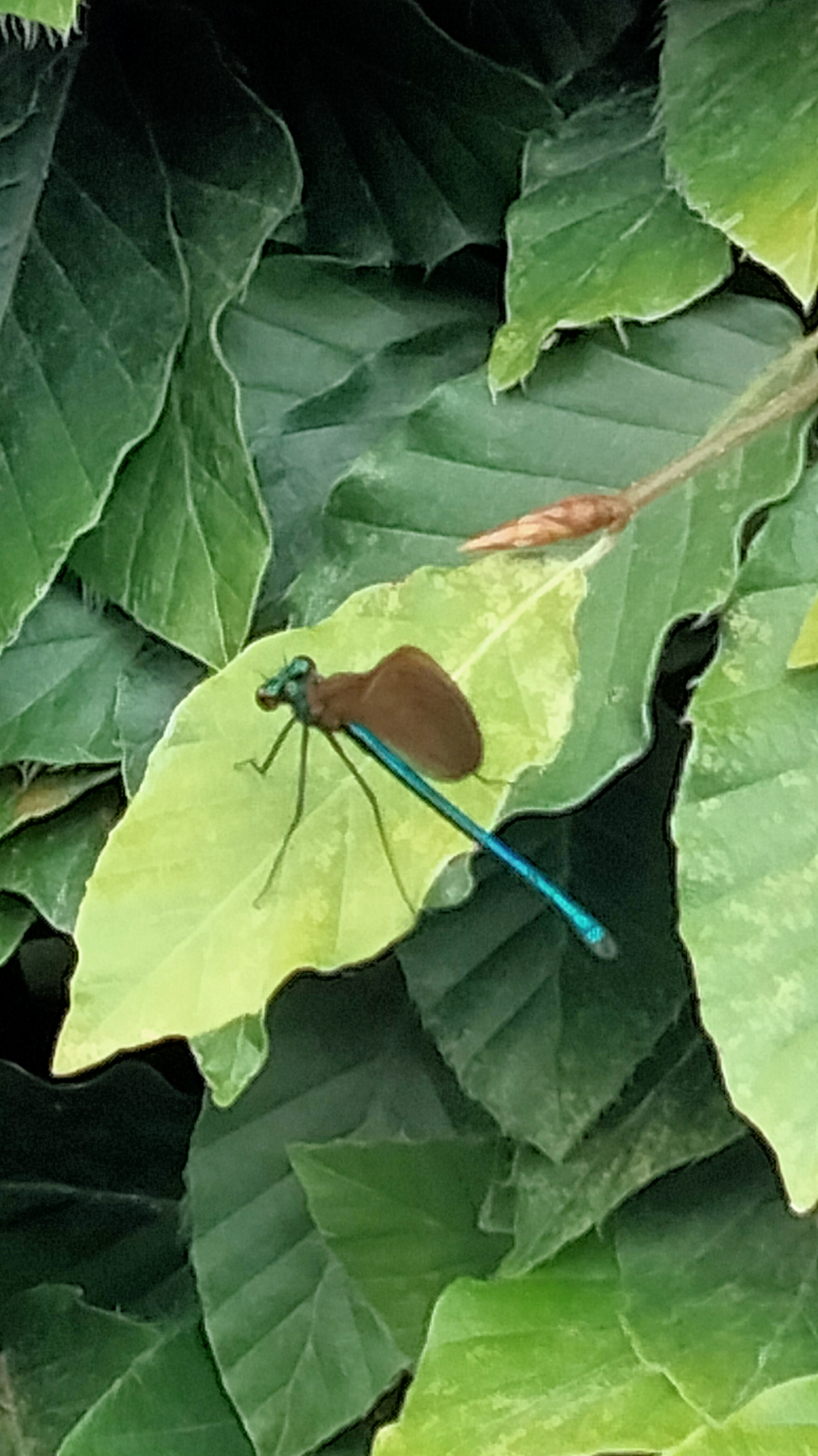 Photo n° 7 de l'avis de Sylvie.o fait le 21/07/2023 à 18:45