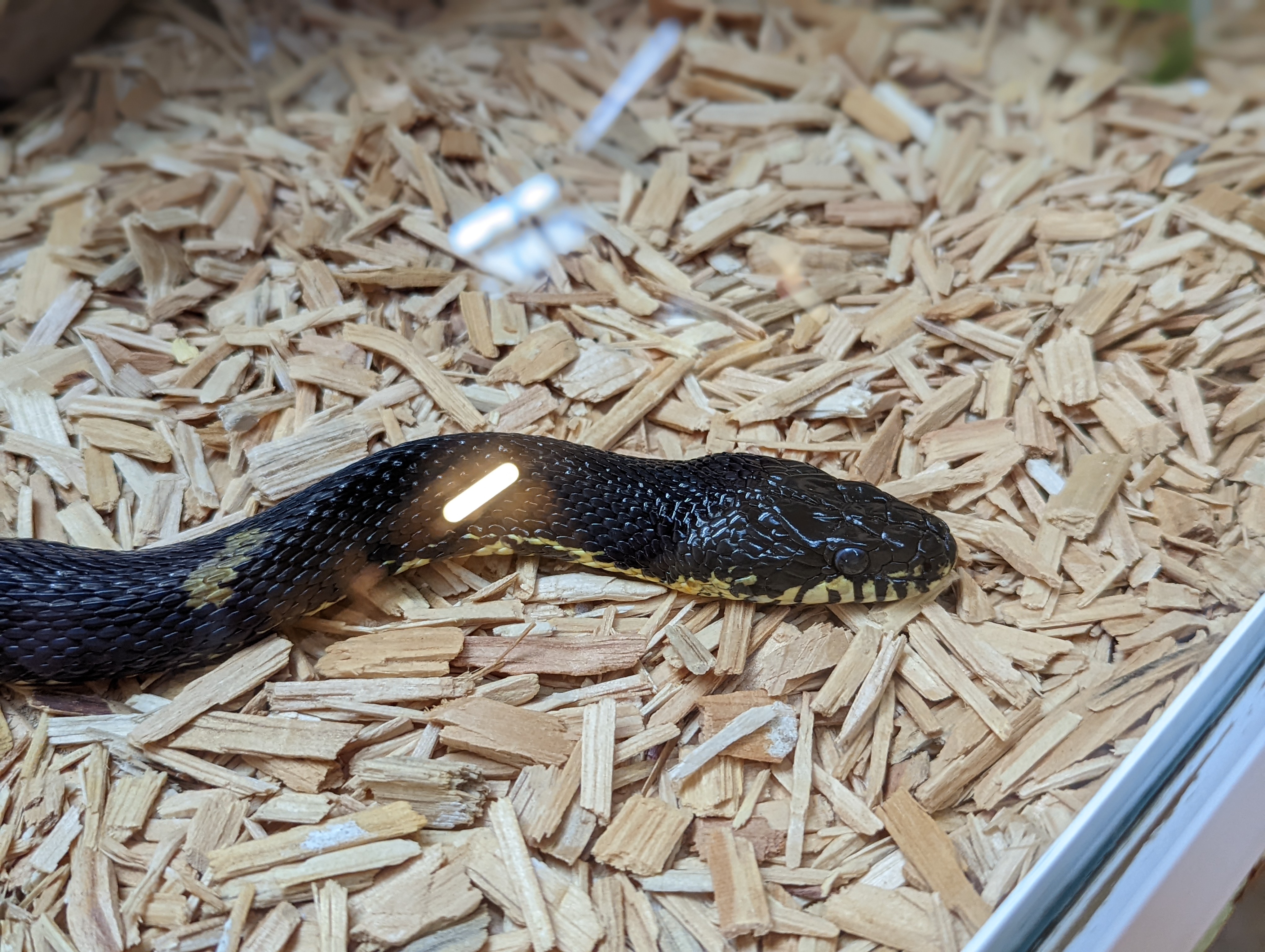 Photo n° 15 de l'avis de Mathieu.I fait le 07/05/2022 à 19:56