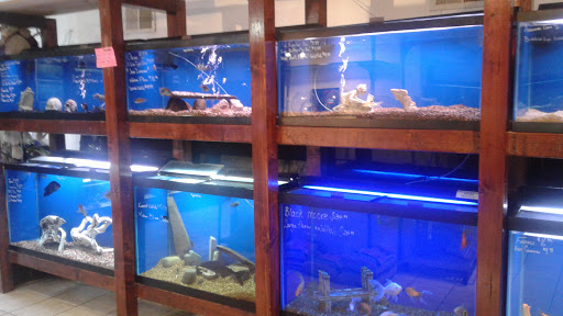 Pet Supply Store «Niagara Aquarium Co Inc», reviews and photos, 1345 Military Rd, Buffalo, NY 14217, USA