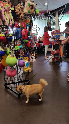 Pet Store «Island Dog», reviews and photos, 410 Mallery St, Saint Simons Island, GA 31522, USA