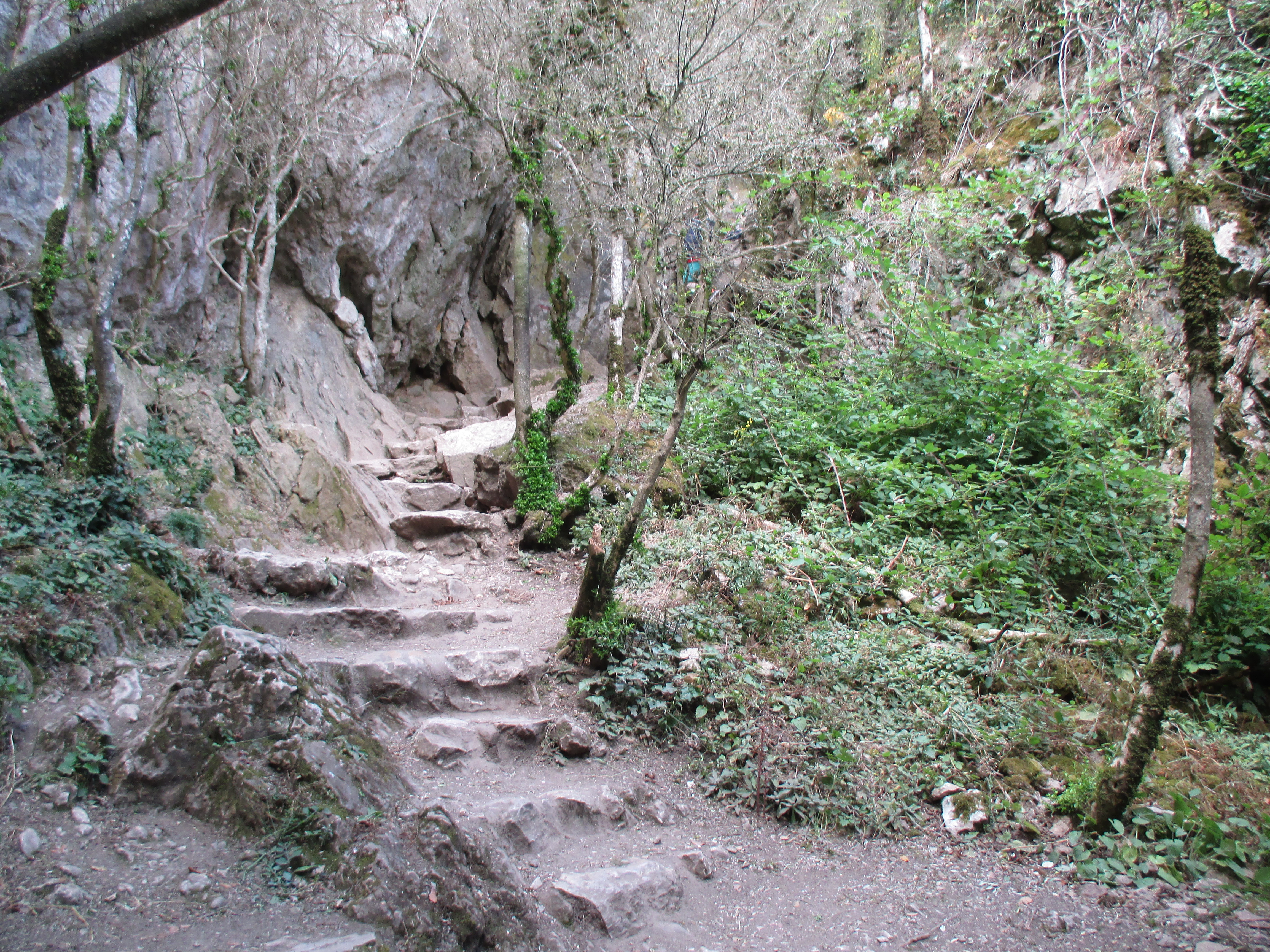 Photo n° 1 de l'avis de Karine.e fait le 06/08/2020 à 11:37