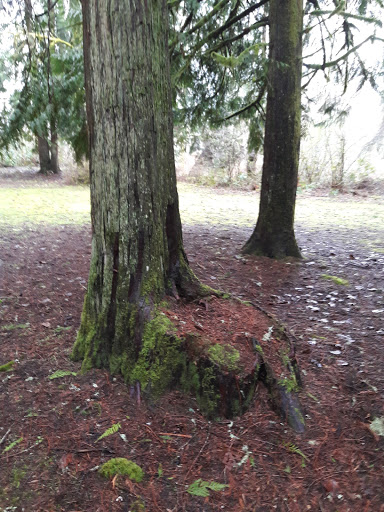 Park «Barton Park», reviews and photos, 19009 SE Barton Park Rd, Boring, OR 97009, USA