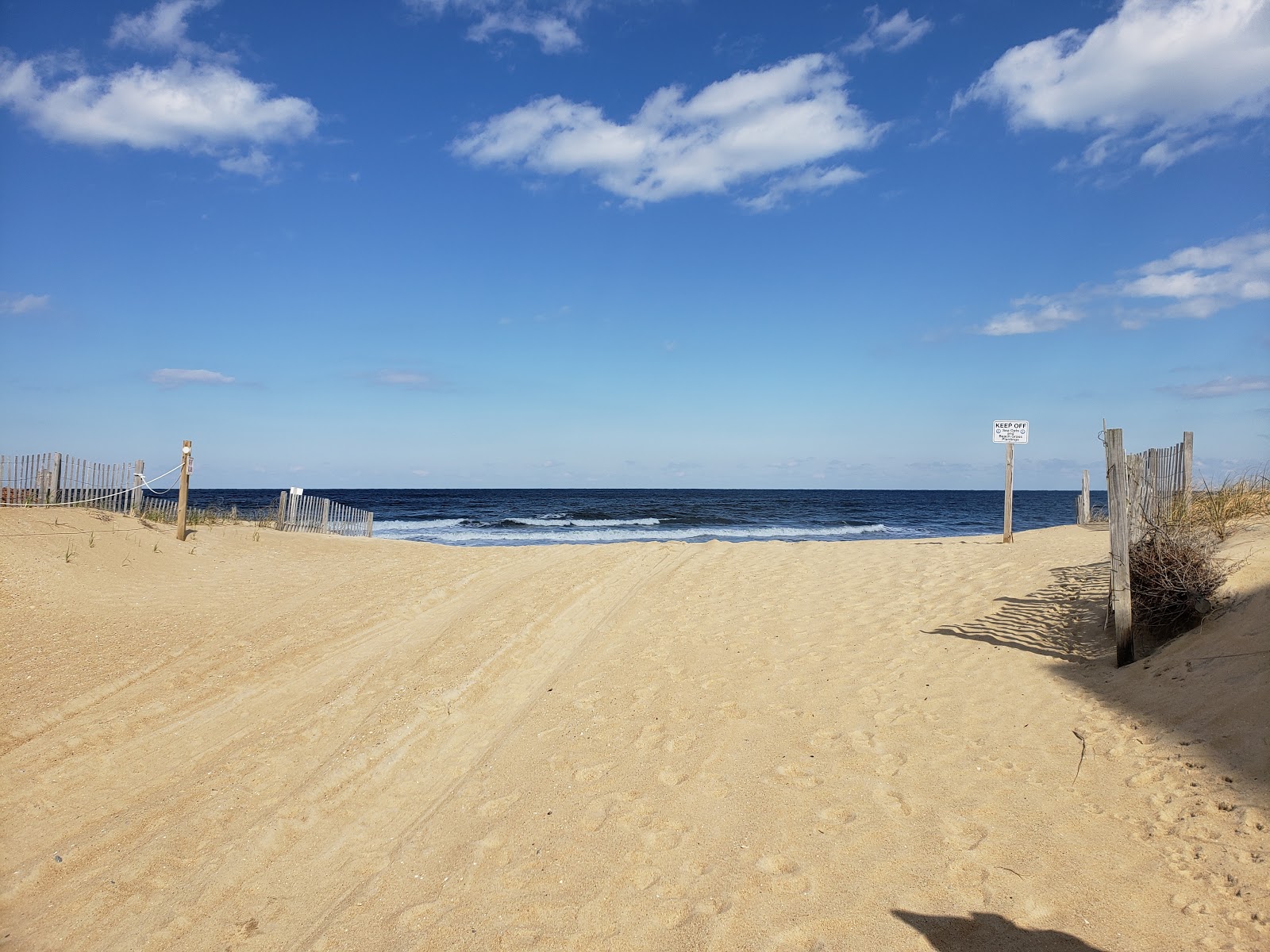 Zdjęcie Avalon Pier beach - popularne miejsce wśród znawców relaksu