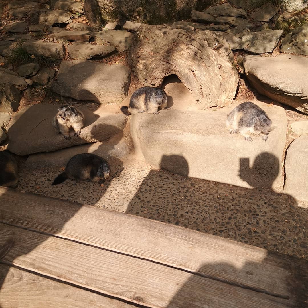 Photo n° 13 de l'avis de Xxx.x fait le 14/08/2020 à 21:01