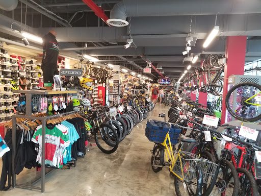 Bicycle Store «Miami Beach Bicycle Center», reviews and photos, 746 5th St, Miami Beach, FL 33139, USA