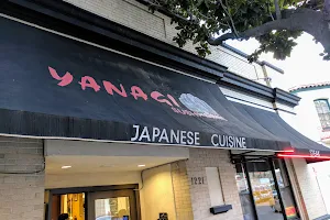 Yanagi Sushi & Grill image