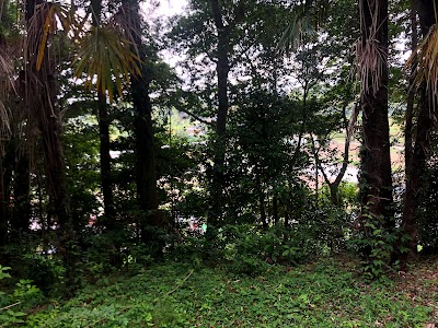 岩井戸横穴墓群
