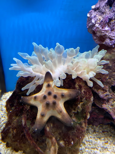 Pet Supply Store «Petco Animal Supplies», reviews and photos, 416 Eisenhower Dr, Hanover, PA 17331, USA