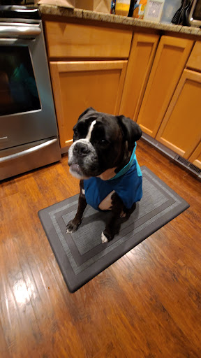 Pet Supply Store «All The Best Pet Care», reviews and photos, 1909 NW Market St, Seattle, WA 98107, USA