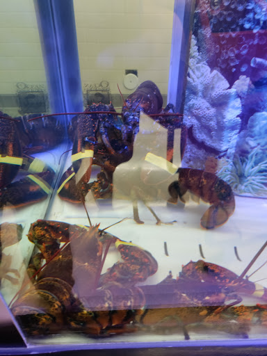 Grocery Store «Albertsons», reviews and photos, 12970 W Indian School Rd, Litchfield Park, AZ 85340, USA