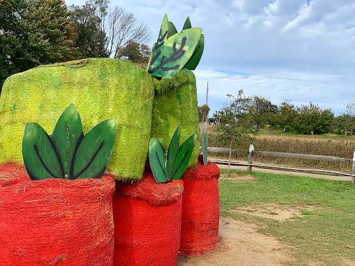 Farm «Alstede Farms», reviews and photos, 1 Alstede Farms Ln, Chester, NJ 07930, USA